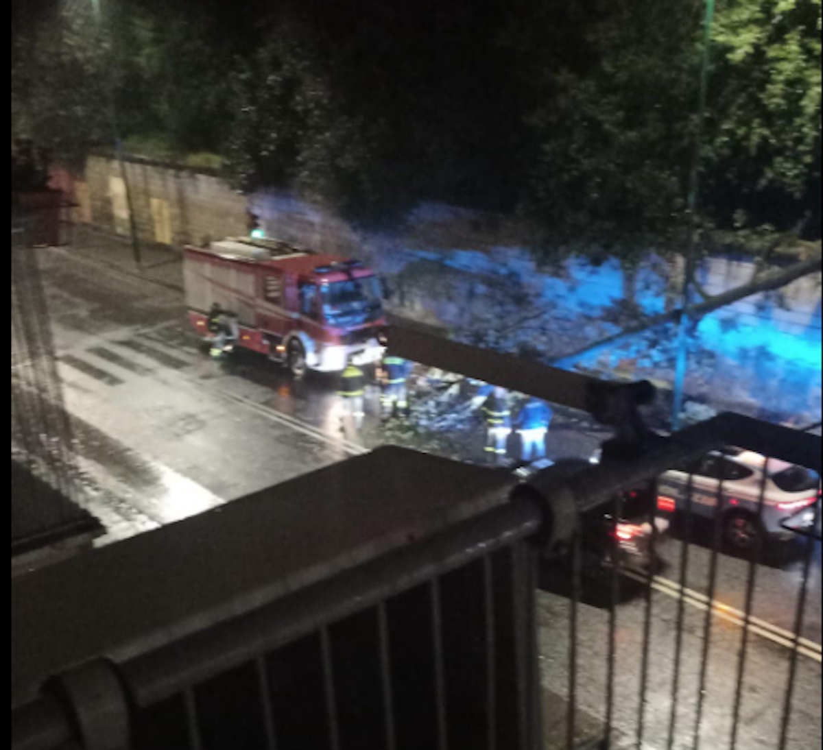 Napoli: albero crolla a Capodimonte, centauro ferito
